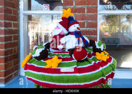 Herne Bay, Kent, UK. 22nd Dec, 2016. Many of the post boxes in Herne Bay, such as this one outside the railway station, have been topped by knitted characters with a Christmas Theme. The toppers are the work of a local knitting group called the 'Herne Bay Cosy Crew' © Paul Martin/Alamy Live News Stock Photo