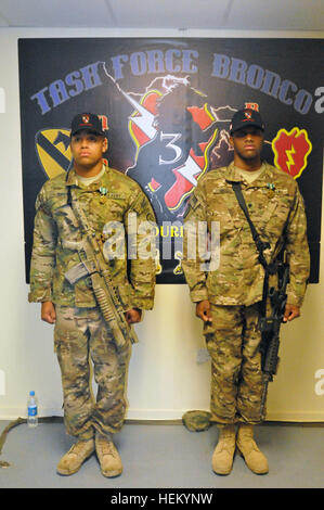 Task Force Bronco, 3rd Brigade Combat Team, 25th Infantry Division ...