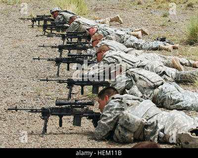 Soldiers from units within Task Force Currahee fire at iron targets over 500 meters away during a range day portion of a training class on the newly-issued M14EBRMTT, at forward operating base Salerno, Khost province, September 8. Classes on new M14 take precision marksmanship to new levels 115492 Stock Photo