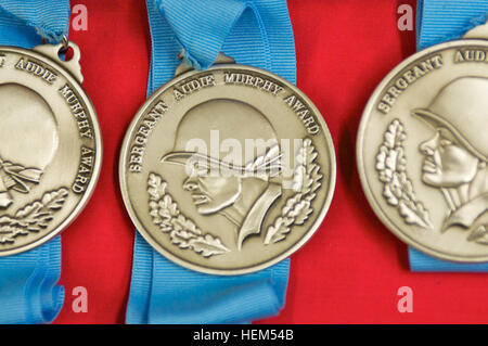 The 82nd Combat Aviation Brigade leadership poses with medal Stock ...