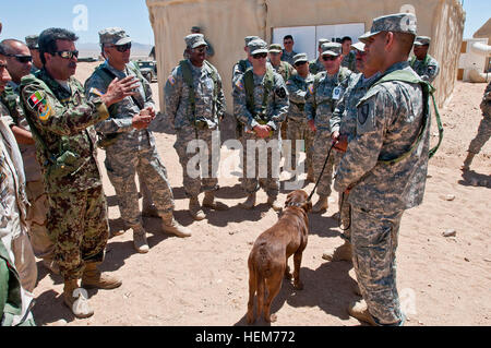 An Afghan role-player portraying an Afghan army officer asks David Sheffer, a dog trainer with Vohne Liche Kennels in Denver, Ind., a question about Coba, a 3-year-old chocolate lab and tactical explosives detector dog, June 14, at the National Training Center on Fort Irwin, Calif., during a demonstration of Coba's abilities for 4th Stryker Brigade, 2nd Infantry Division soldiers, role-players and government civilians. Sheffer spent 10 days - from June 5 to 15 - escorting Coba to various companies and platoons across the brigade, which will soon select 25 handlers for training to lead a simila Stock Photo