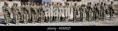 Soldiers assigned to 3rd Brigade Combat Team 'Rakkasans,' 101st Airborne Division (Air Assault), stand at attention during an award ceremony on Forward Operating Base Gardez, Afghanistan, Jan. 21, 2013. The 37 soldiers received the Combat Infantryman Badge, Combat Action Badge or Combat Medical Badge depending on their military occupational specialty within the military. (U.S. photo by Spc. Brian Smith-Dutton, Task Force 3/101 Public Affairs) Rakkasans receive combat badges 130121-A-TT250-547 Stock Photo