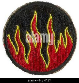 The Shoulder Sleeve Insignia of the 119th Infantry Division identifies ...