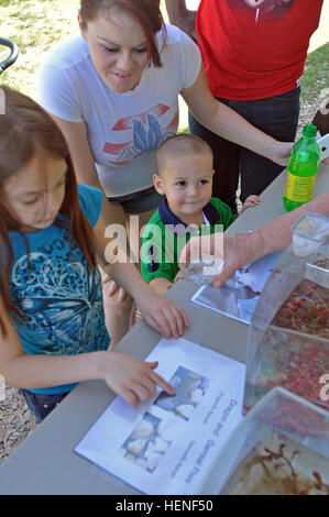 Mariana and Gio Santos, and their mother, Rachel Warren try to identify the difference between dragonfly and damselfly larva at a display by the Fort Hood Department of Public Works at the Fort Hood Earth Day celebration, April 25.  'It's educational for the kids and they get to learn what can be beneficial to them and how it helps with the environment,' said Rachel Warren about the Earth Day celebration. Fort Hood Earth Day 2014 140425-A-OB963-007 Stock Photo