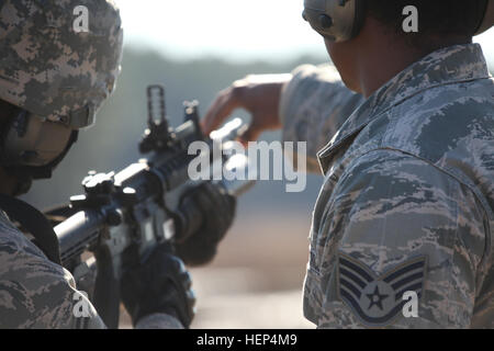 The Air National Guard’s 113th Security Forces Wing, D.C. Air National ...