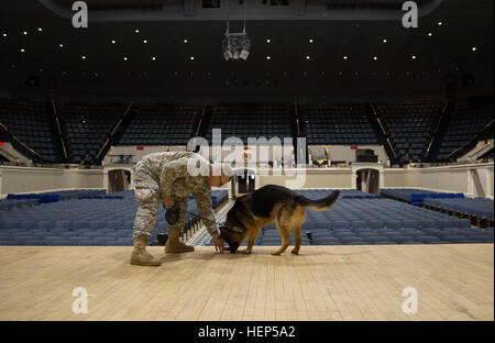 U.S. Army Spc. Joshua Stiles and canine Nick from the 3rd U.S. Infantry Regiment's (The Old Guard) 947th Military Police Detachment search the stage for hidden explosives inside an empty Daughters of the American Revolution Continental Memorial Hall in Washington Feb. 23, 2015, during a joint explosive proficiency evaluation. (Joint Base Myer-Henderson Hall PAO photo by Damien Salas) Military working dogs sniff out narcotics, explosives 150223-A-DZ999-617 Stock Photo