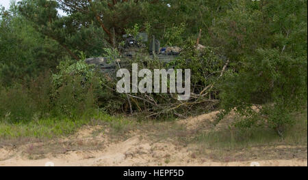 INFANTRY IN TRAINING - A well camouflaged Bren gun post , British Army ...