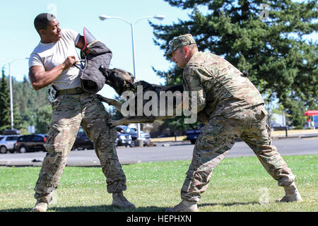504th mp battalion hi-res stock photography and images - Alamy
