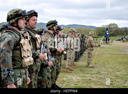 Soldiers from 1st Battalion, 64th Armor Regiment stand in formation with their Bulgarian Army allies during the Exercise Strike Back opening ceremonies at Novo Selo Training Area, Bulgaria April 11. Exercise Strike Back is a Bulgarian Armed Forces exercise that will certify the Bulgarian 38th Mechanized Battalion to respond to crisis operations while demonstrating the interoperability of the Armed Forces and Land Forces. The inclusion of soldiers from 1st Armored Brigade Combat Team, 3rd Infantry Division helps build relationships between the two Armies while making sure they are able to fight