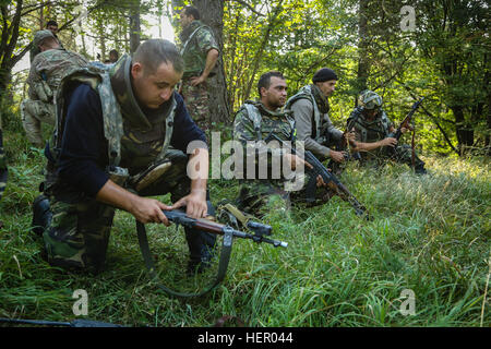 Romanian soldiers of the 33rd Mountain Battalion Posada reload their weapons while conducting a simulated attack during exercise Combined Resolve VII at the U.S. Army’s Joint Multinational Readiness Center in Hohenfels Germany, Sept. 11, 2016. Combined Resolve VII is a 7th Army Training Command, U.S. Army Europe-directed exercise, taking place at the Grafenwoehr and Hohenfels Training Areas, Aug. 8 to Sept. 15, 2016. The exercise is designed to train the Army’s regionally allocated forces to the U.S. European Command. Combined Resolve VII includes more than 3,500 participants from 16 NATO and  Stock Photo