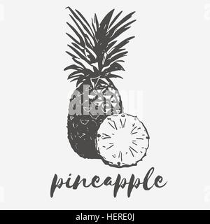 pineapple exotic fruit Stock Vector