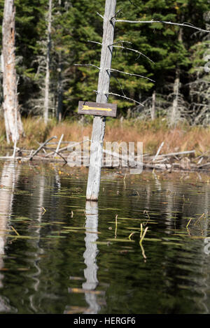 Arrow sign pointing to a canoe carry, also known as a portage trail, in Adirondack State Park, New York. Stock Photo