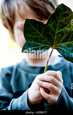 Child holding a leaf in front of face Stock Photo - Alamy