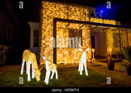 Beautiful outdoor Christmas lights every year decorating houses on Franklin Road, Auckland Stock Photo