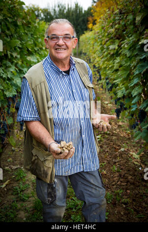 Farmer in his vineyard showing truffles from his morning hunt, Barolo, Piemonte, italy Stock Photo