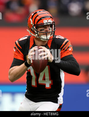 Cincinnati Bengals quarterback Andy Dalton (14) jogs off the field  following the come from behind 16-10 Bengals win against the Pittsburgh  Steelers at Heinz Field in Pittsburgh on November 1, 2015. Photo