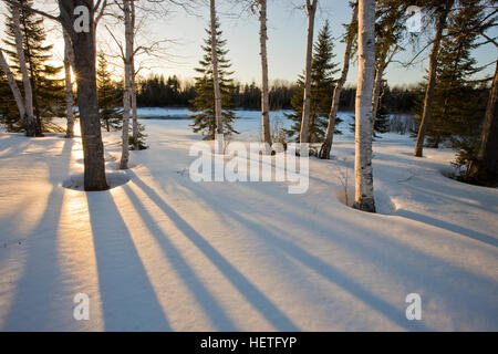 The sun goes down behind the trees in the 'front yard' of Medawisla Wilderness Camps near Greenville, Maine. Stock Photo