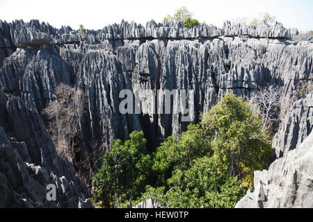 Towering limestone pinnacles in Grand Tsingy at Tsingy de Bemaraha National Park Stock Photo