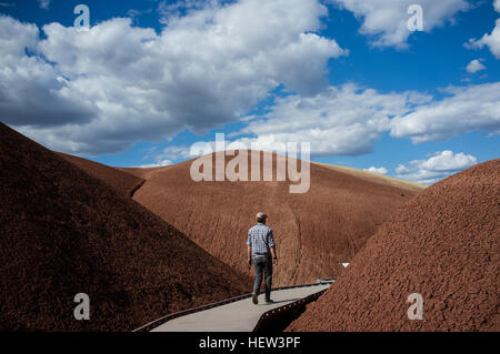 Rear view of man walking on path, Painted Hills, Oregon, USA Stock Photo