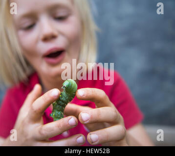 Boys holding caterpillar Stock Photo