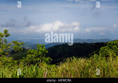 Eco Tours Costa Rica Stock Photo