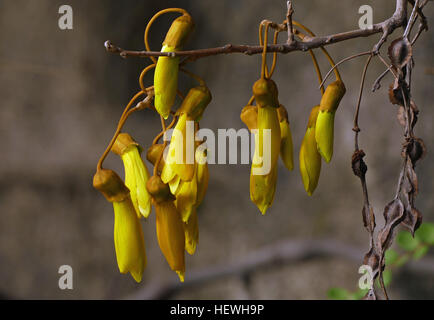 Ben crawley hi-res stock photography and images - Alamy