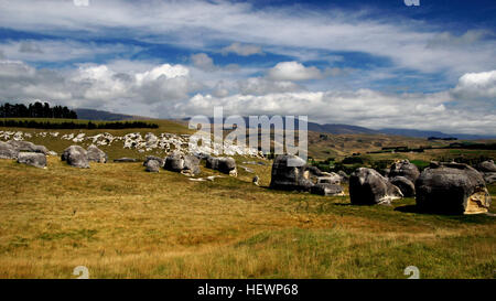 The Elephant Rocks near Duntroon in North Otago, New Zealand, are a collection of large weathered limestone rocks. They are located on a private farm 5 kilometres (3 mi) south of Duntroon, in the Maerewhenua Valley. The wider area around Duntroon is known for its interesting geology and preserved fossils.[1]  The Elephant Rocks are the weathered remnants of the Otekaike Limestone formation which lies above the Oligocene Kokoamu Greensand.  The rock formations of the Elephant Rocks vary from 1–10 metres (3–33 ft) across and are naturally scattered around a grass paddock on a gentle hillside ove Stock Photo