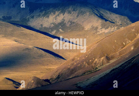 the-mackenzie-basin-also-known-as-mackenzie-country-is-located-in-new