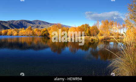 Lake Ruataniwha in Autumn, South Island, New Zealand Stock Photo - Alamy