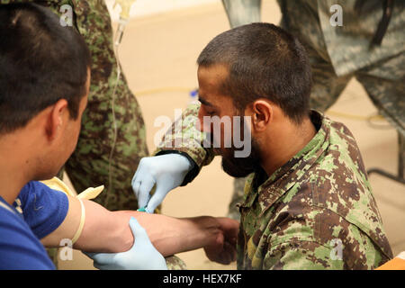 An Afghan National Army soldier participates in the hands-on portion of an intravenous stick lab during a medical course at the Joint Security Academy Southwest, here Jan. 10. During the practical application the students performed all the steps of administering an IV that they had learned the previous day. Throughout the course the soldiers will learn the skills and techniques necessary to become combat medics. ANA soldiers train to be combat medics DVIDS356804 Stock Photo
