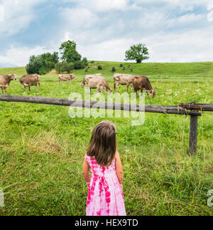 Real view of girl looking at cows grazing in field, Fuessen, Bavaria, Germany Stock Photo