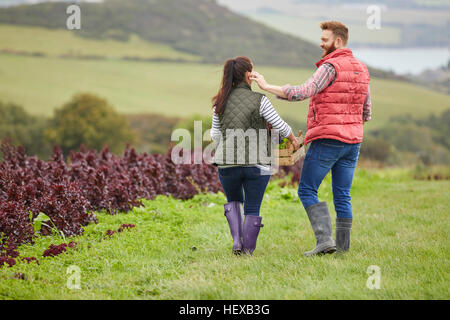 Rear view of couple on farm harvesting lettuce Stock Photo