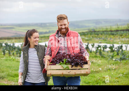 Couple on farm holding freshly harvested lettuce in wooden crate Stock Photo