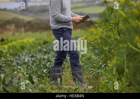 Cropped view of man on farmland using digital tablet Stock Photo
