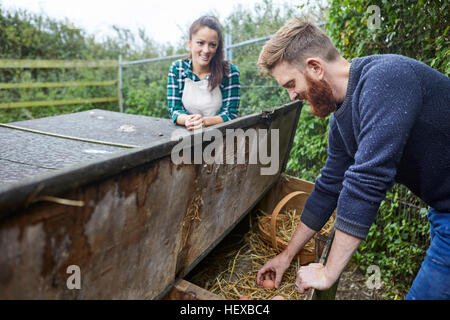 Young couple collecting eggs from chicken coop Stock Photo