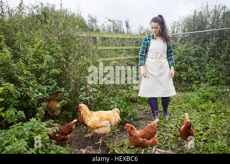 Woman wearing apron on chicken farm Stock Photo