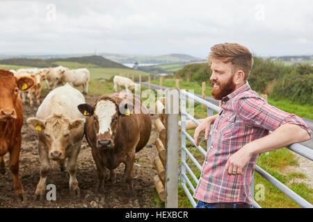 Man leaning against gate on cow farm looking away Stock Photo