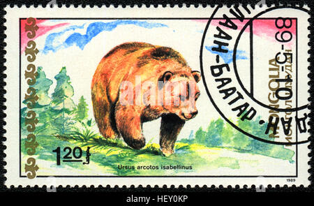 A postage stamp printed in Mongolia shows Himalayan Brown Bear,  'Bears' series, 1989 Stock Photo