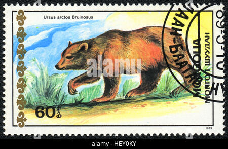 7 PCS,Mongolia Post Stamp,1989, Wild Animals-Bears, Animal Stamps, Real  Original, Postage Stamp,MNH