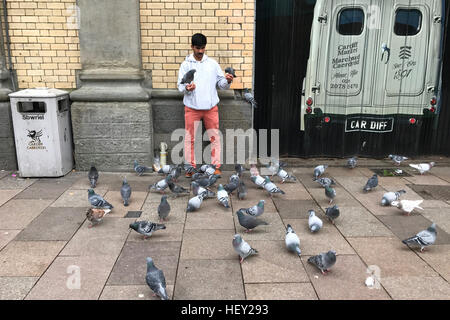 A man feeds pigeons food on the street in Cardiff, South Wales, UK. Stock Photo