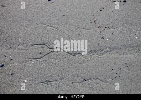 Rivulet impressions in the sand in the Puget Sound. Stock Photo