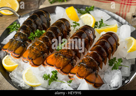 Raw Organic Fresh Lobster Tails with Lemon and Herb Stock Photo