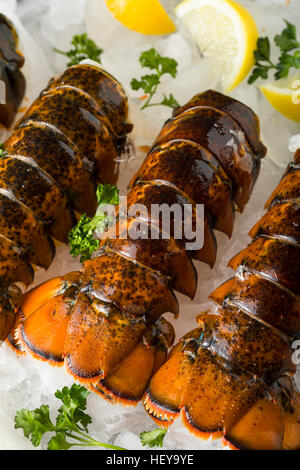 Raw Organic Fresh Lobster Tails with Lemon and Herb Stock Photo
