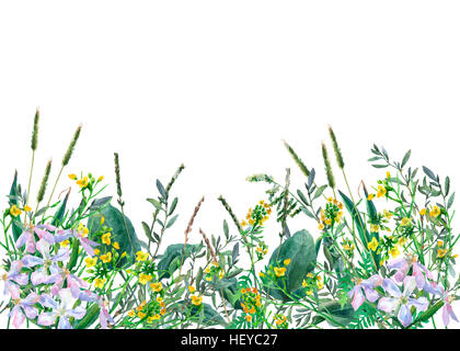 Panoramic view of wild meadow flowers and grass on white background. Watercolor hand drawn border with flowers and herbs. Stock Photo