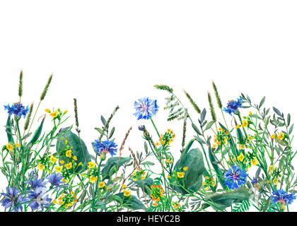 Panoramic view of wild meadow flowers and grass on white background. Watercolor hand drawn border with flowers and herbs. Stock Photo