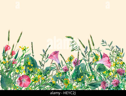 Panoramic view of wild meadow flowers and grass on yellow background. Watercolor hand drawn border with flowers and herbs. Stock Photo