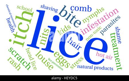 Lice word cloud on a white background. Stock Vector