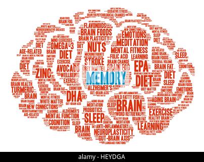 Memory Brain word cloud on a white background. Stock Vector