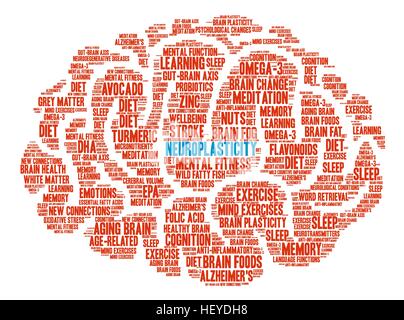 Neuroplasticity Brain word cloud on a white background. Stock Vector