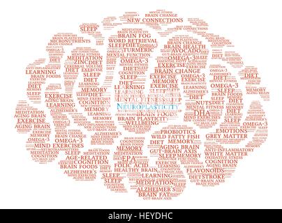 Neuroplasticity Brain word cloud on a white background. Stock Vector